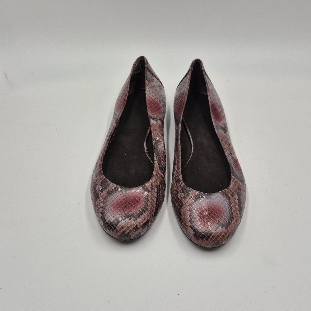 Stuart Weitzman-Snake Flat - Picture 2 of 11